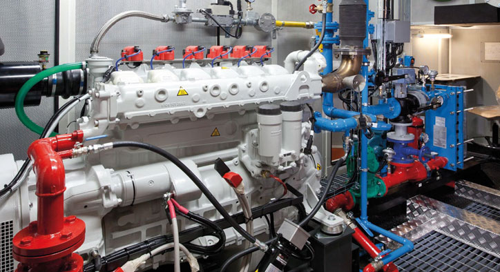 MPS Cogeneration
